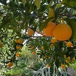 Πανσιόν L'agrumeto Segreto