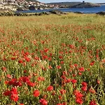 Πανσιόν L'agrumeto Segreto Riola Sardo