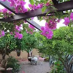 L'agrumeto Segreto 3* Riola Sardo