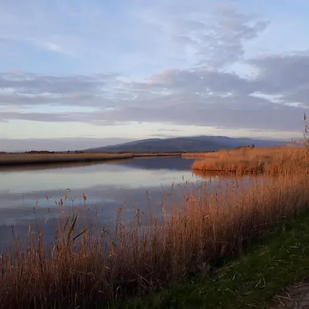 게스트하우스 L'agrumeto Segreto