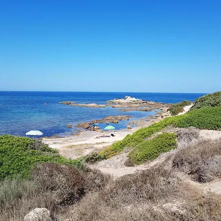 L'agrumeto Segreto Πανσιόν