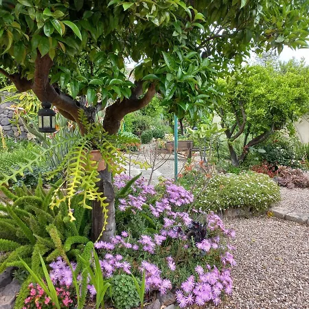 L'agrumeto Segreto 3* 리올라사르도