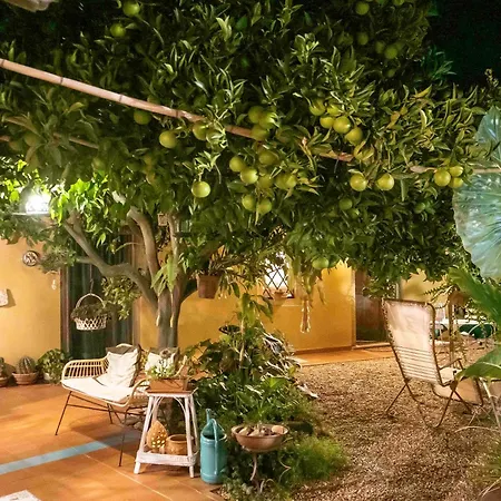 Πανσιόν L'agrumeto Segreto Riola Sardo
