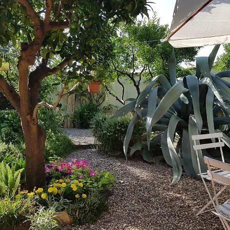 게스트하우스 L'agrumeto Segreto 리올라사르도