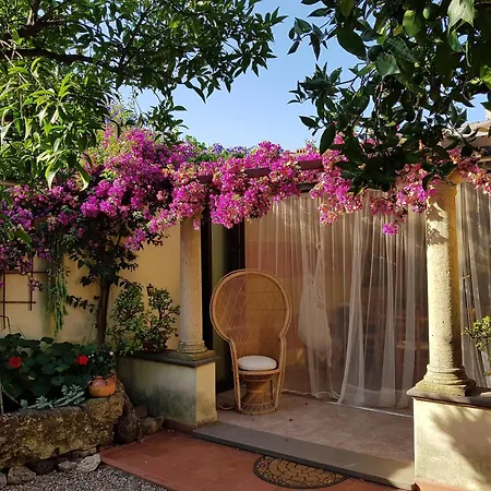 L'agrumeto Segreto 게스트하우스 리올라사르도