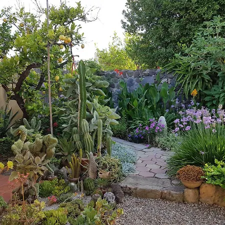 게스트하우스 L'agrumeto Segreto 리올라사르도