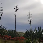 L'agrumeto Segreto