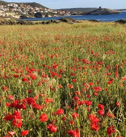 Pensión L'agrumeto Segreto Riola Sardo