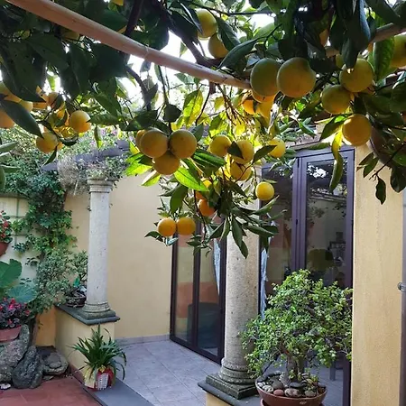 L'agrumeto Segreto *