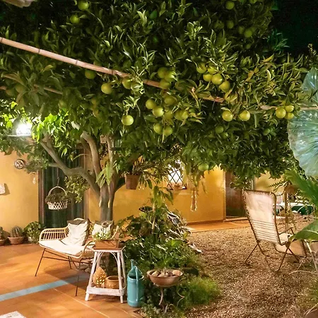 Gæstehus L'agrumeto Segreto Riola Sardo